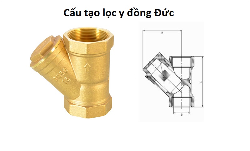 cau_tao_loc_y_dong_duc