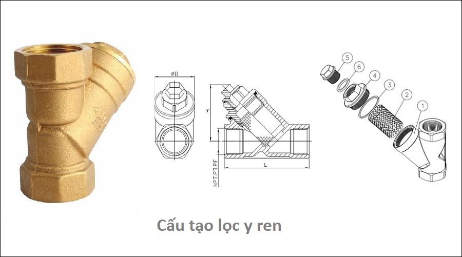 cau_tao_loc_y_ren