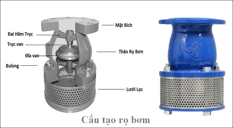 cấu tạo rọ bơm