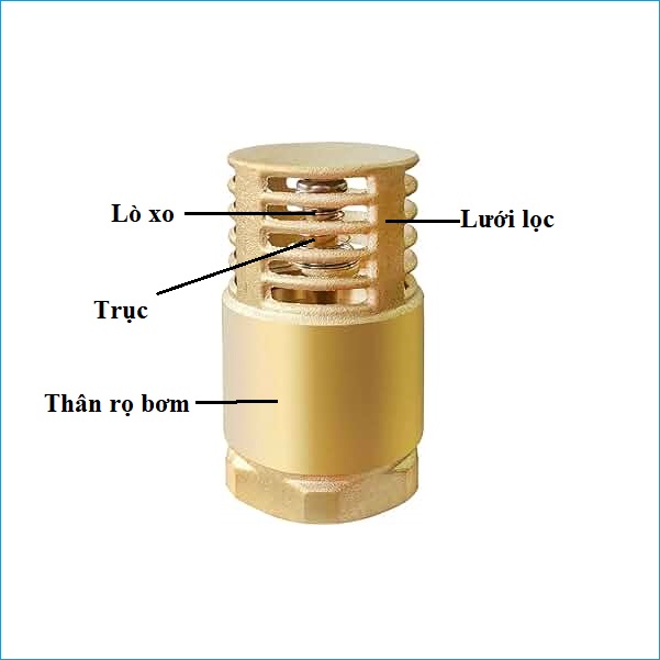 cấu tạo rọ bơm đồng nhật bản