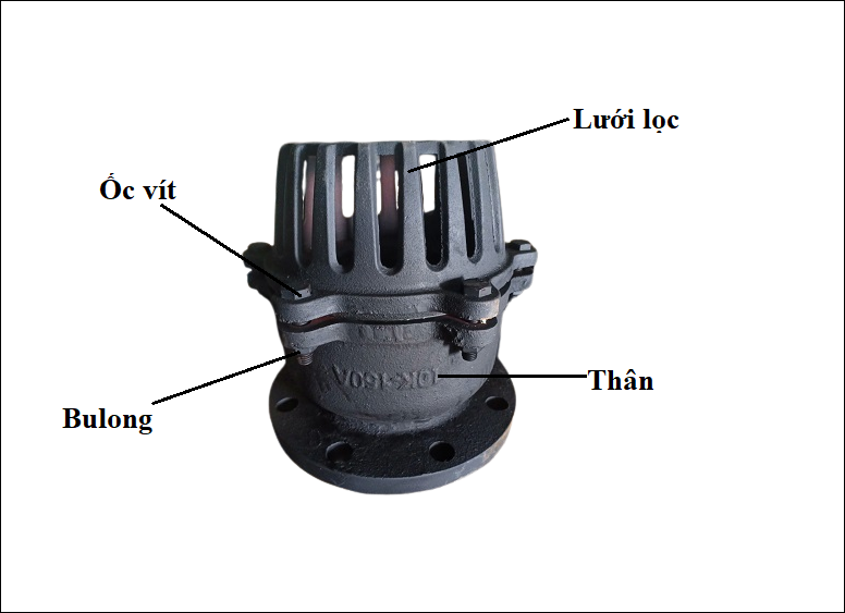 cấu tạo rọ bơm gang hàn quốc