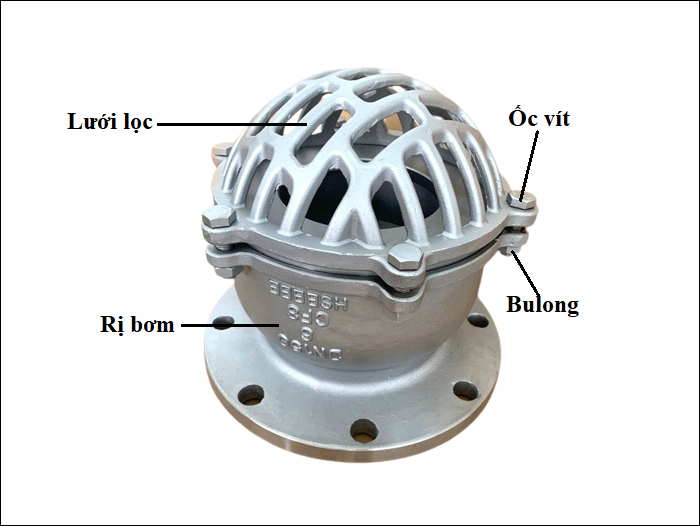 cấu tạo rọ bơm inox nhật bản