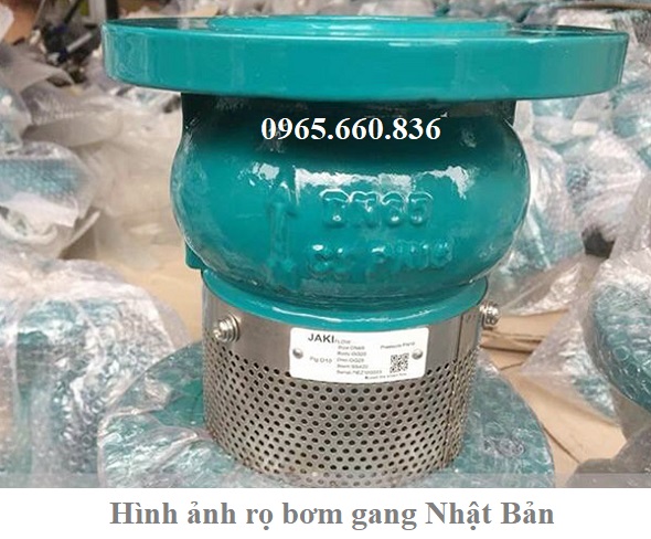 hình ảnh rọ bơm gang nhật bản