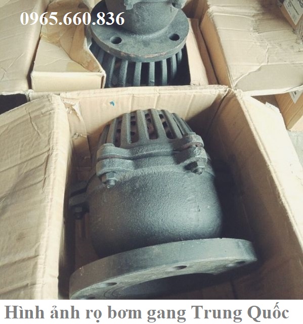 hình ảnh rọ bơm gang trung quốc