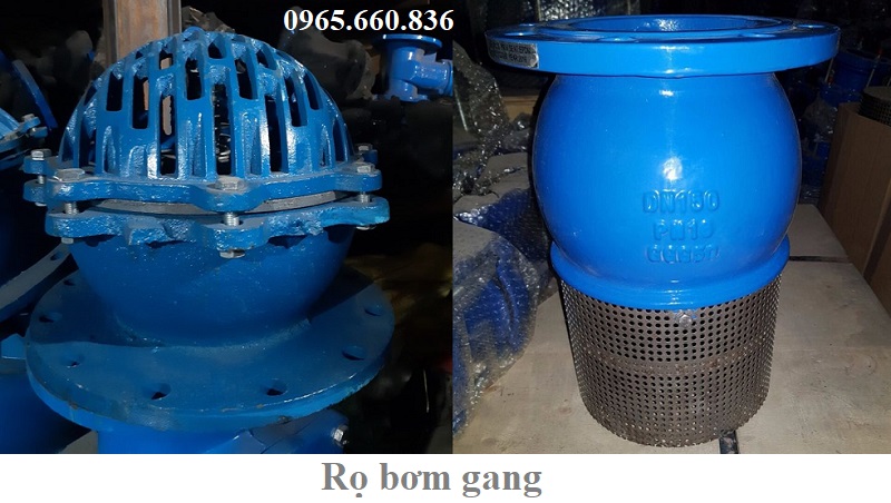 rọ bơm gang