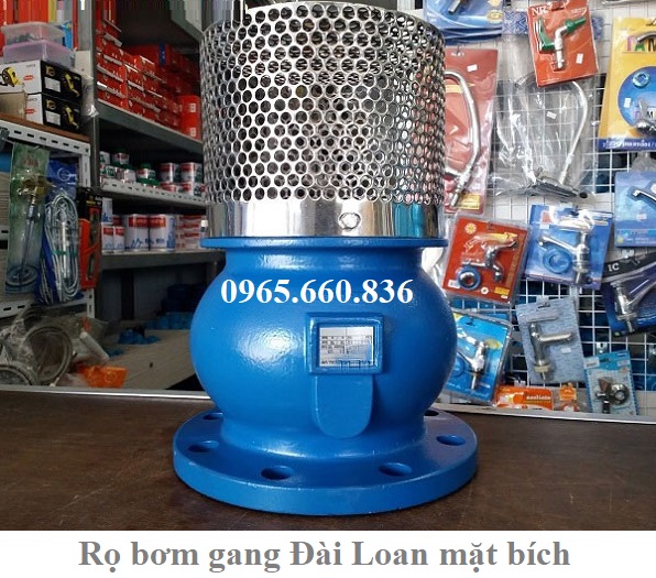 rọ bơm gang đài loan mặt bích