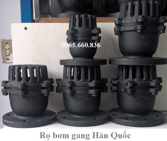 rọ bơm gang hàn quốc là gì