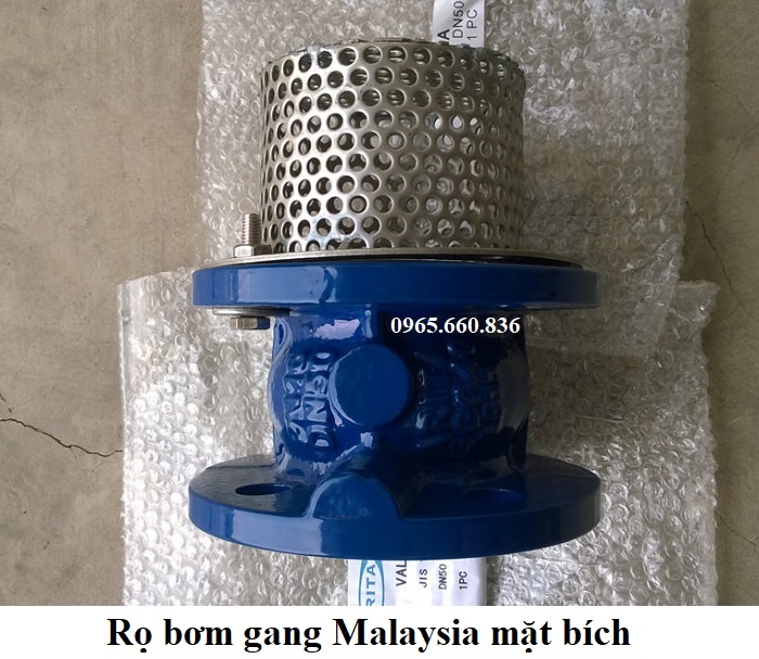 rọ bơm gang malaysia 1