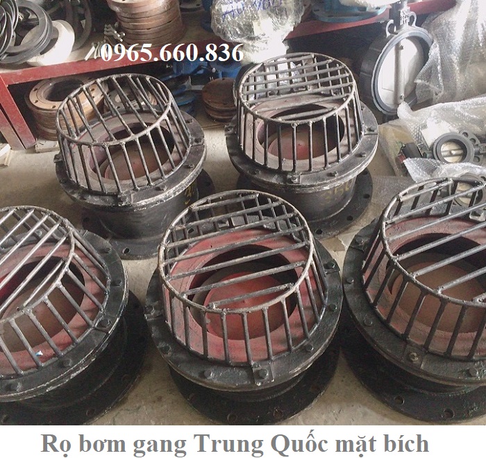 rọ bơm gang trung quốc 1