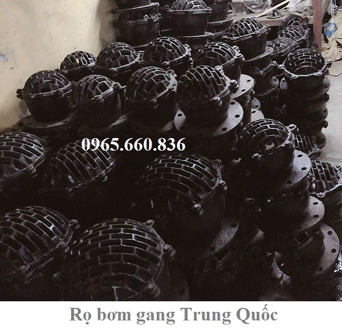 rọ bơm gang trung quốc là gì