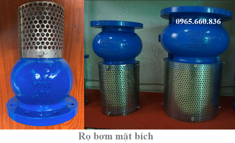 rọ bơm mặt bích là gì