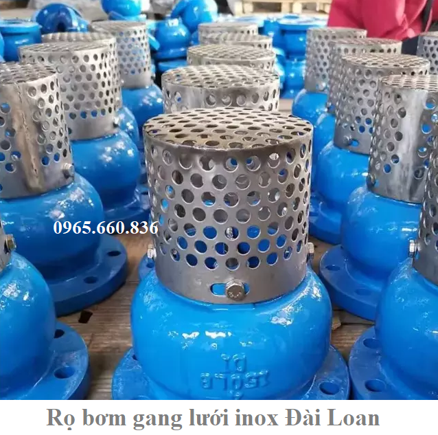 ứng dụng rọ bơm gang đài loan