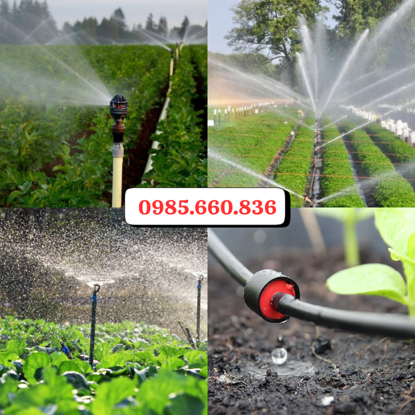 Ứng dụng của PVC trong nông nghiệp