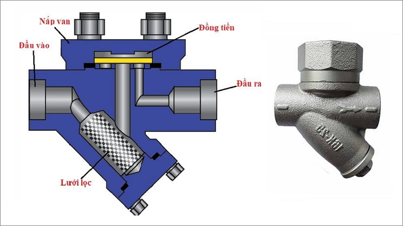 cấu tạo bẫy hơi đồng tiền