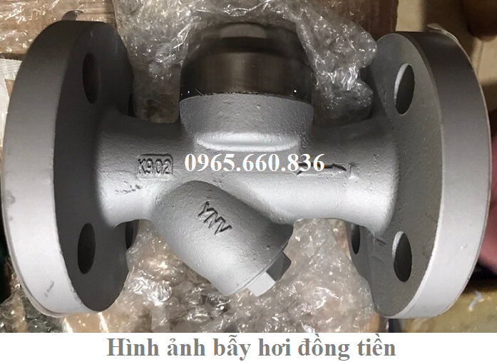 hình ảnh bẫy hơi đồng tiền