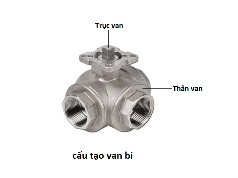 cau_tao_van_bi