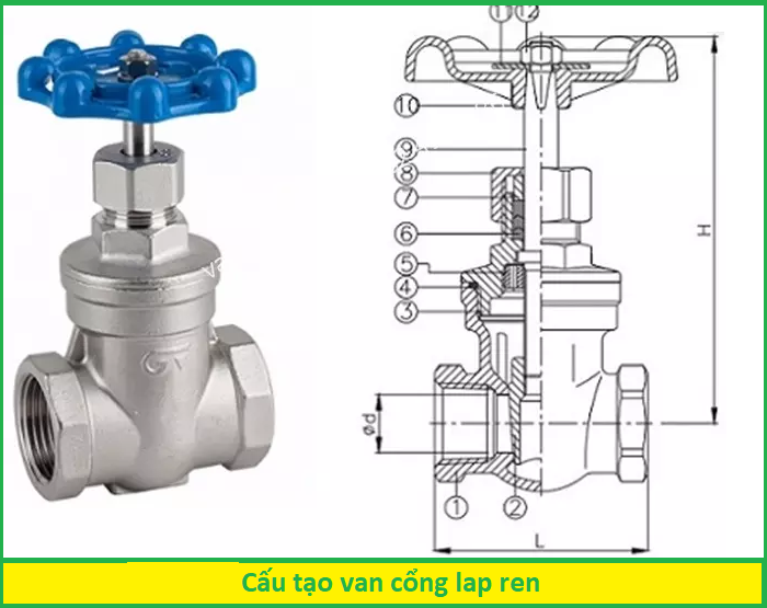 cấu tạo van cong lap ren