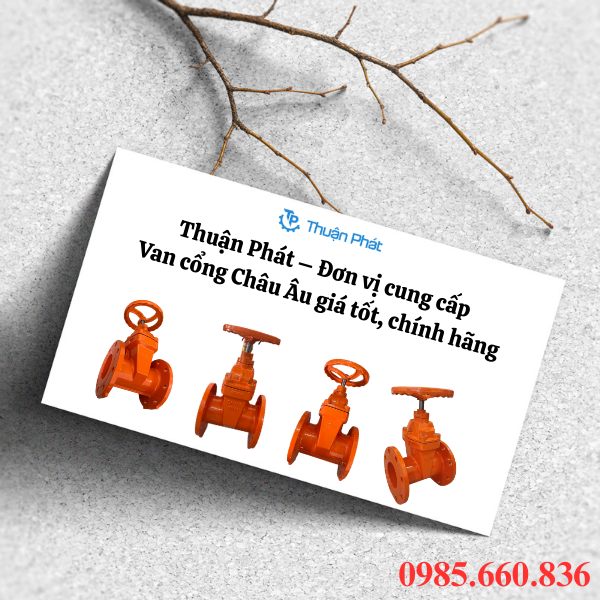Thuận Phát – Đơn vị cung cấp van cổng Châu Âu giá tốt, chính hãng