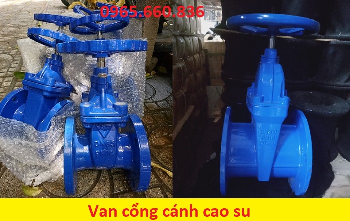 van cổng cánh cao su là gì