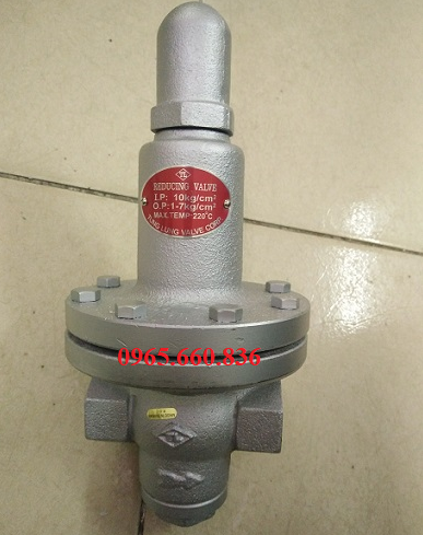 Van giảm áp hơi nóng nổi ren YNV Hàn Quốc 4.
