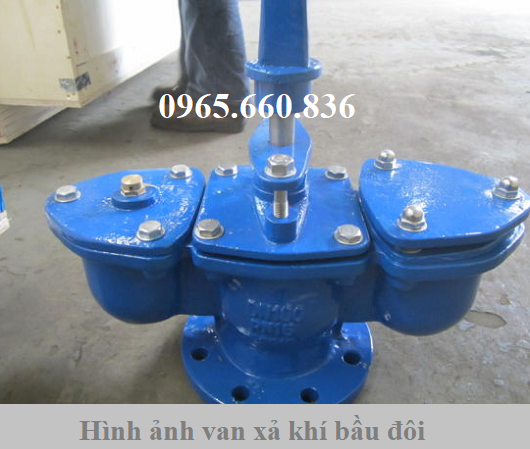 hình ảnh van xả khí bầu đôi