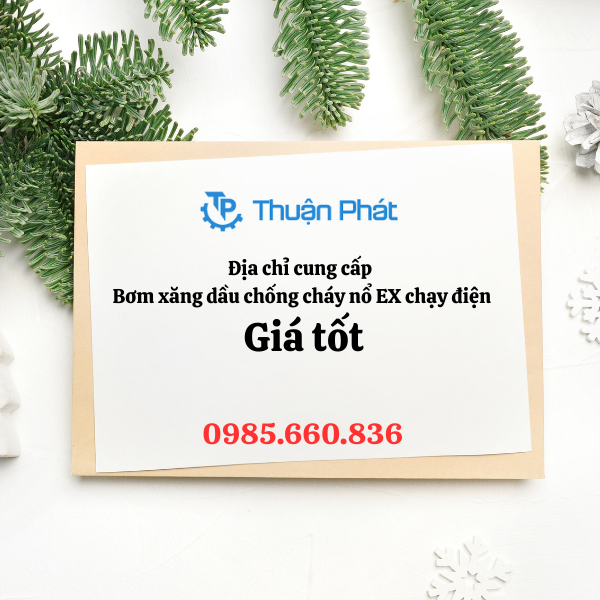 Thuận Phát - Địa chỉ cung cấp bơm xăng dầu chống cháy nổ EX chạy điện giá tốt