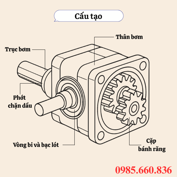 Cấu tạo bơm bánh răng JP20/33/F21/S6/R