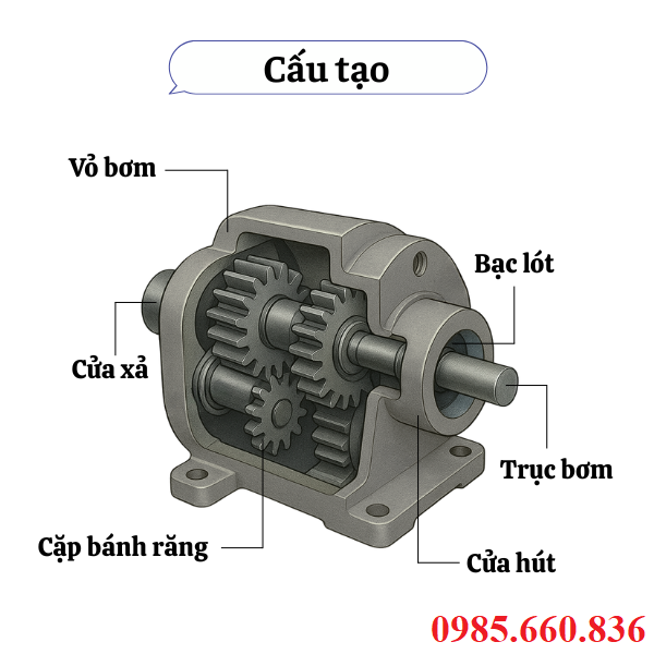 Cấu tạo bơm b&aacute;nh răng JP20/10/F21/S6/R