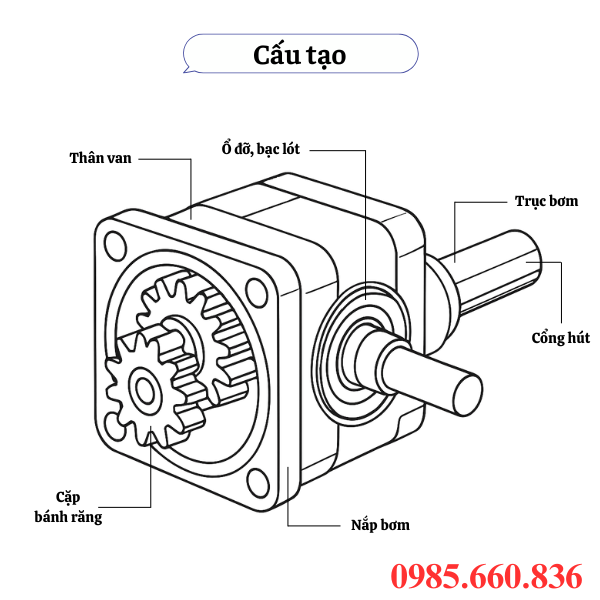 Cấu tạo bơm bánh răng JP20/31/F21/S6/R