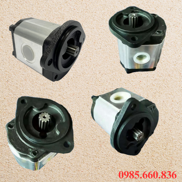 Giới thiệu chung về bơm bánh răng JP20/33/F21/S6/R | S6 Trục 22.22