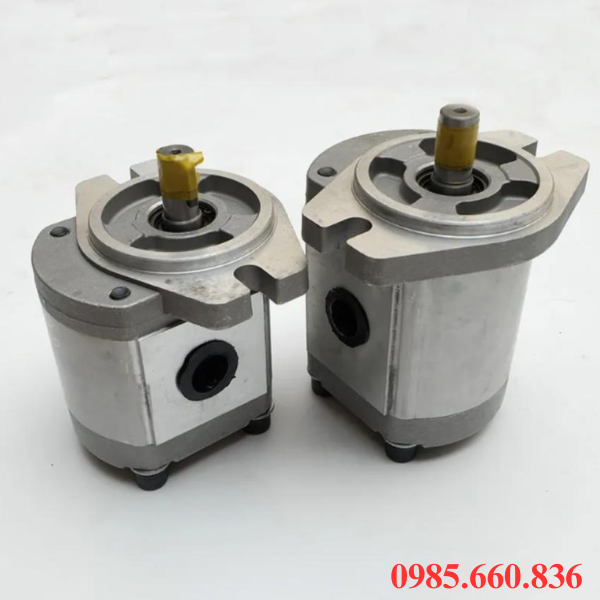 Giới thiệu chung về bơm b&aacute;nh răng JP20/40/F21/S6/R | S6 Trục 22.22