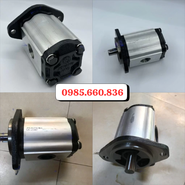 Giới thiệu chung về bơm bánh răng JP20/53/F21/S6/R | S6 Trục 22.22