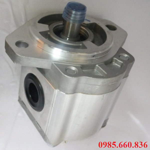 Khái niệm bơm bánh răng JP20/14/F21/S6/R | S6 Trục 15.88