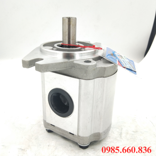 Khái niệm bơm bánh răng JP20/31/F21/S6/R | S6 Trục 15.88