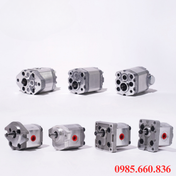 Khái niệm về bơm bánh răng HGP 21R-X-2B | D15.8, D17.46, D19.05