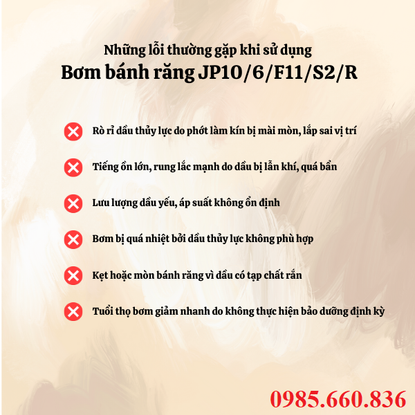 Những lỗi thường gặp khi sử dụng bơm bánh răng JP10/6/F11/S2/R