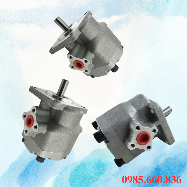 Thế nào là bơm bánh răng HGP 2AF 12R-X-4B