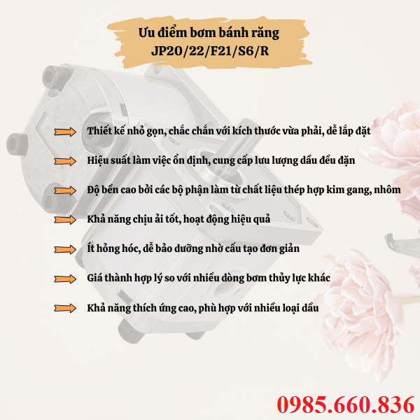 Ưu điểm bơm bánh răng JP20/22/F21/S6/R