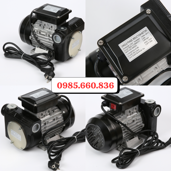 Giới thiệu máy bơm dầu diesel DYB-80