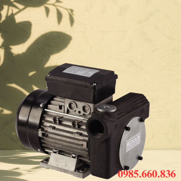 Giới thiệu về máy bơm dầu diesel DTP-60