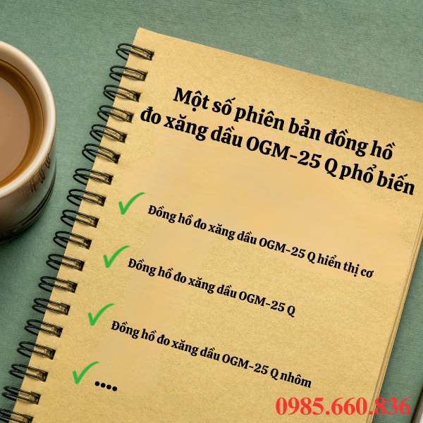 Một số phiên bản đồng hồ đo xăng dầu OGM-25 Q phổ biến