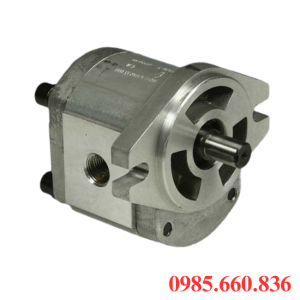Bơm bánh răng JP10/6/F11/S2/R | S2 Trục 12.7