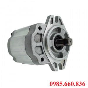 Bơm bánh răng JP20/8/F21/S6/R | S6 Trục 15.88