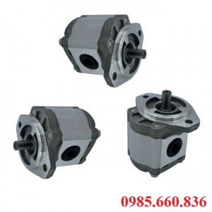 Bơm bánh răng JP20/12/F21/S6/R | S6 Trục 15.88