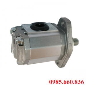 Bơm bánh răng JP20/14/F21/S6/R | S6 Trục 15.88