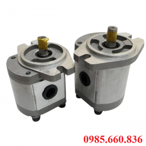 Bơm bánh răng JP20/20/F21/S6/R | S6 Trục 15.88