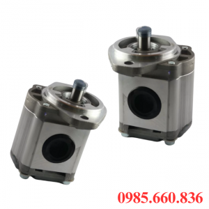 Bơm bánh răng JP20/31/F21/S6/R | S6 Trục 15.88