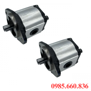 Bơm bánh răng JP20/33/F21/S6/R | S6 Trục 22.22