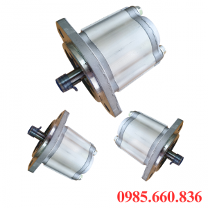 Bơm bánh răng JP20/40/F21/S6/R | S6 Trục 22.22