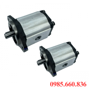 Bơm bánh răng JP20/45/F21/S6/R | S6 Trục 22.22